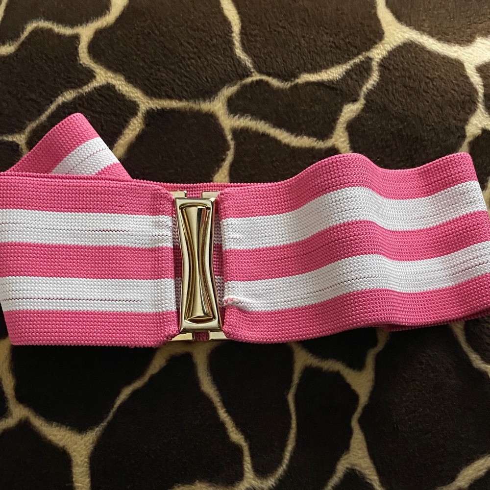 Vintage Pink and White Striped Elastic Belt with Gold tone Buckle